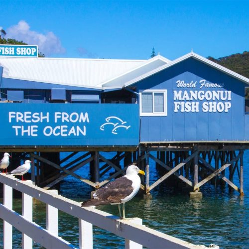 1009 - North of the North Mangonui Fish Shop