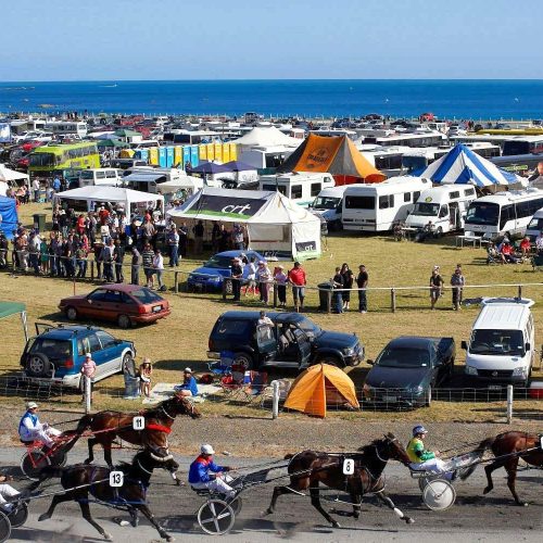 1028 - Hurunui Garden Festival Kaikoura Trots