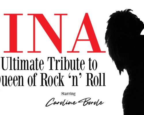 1111 Tina The Ultimate banner
