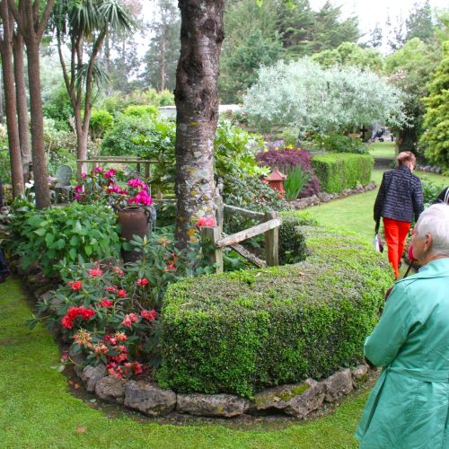 1121 Pukaha Wairarapa Garden Tour 2