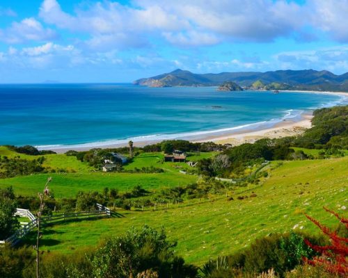 1126 Great Barrier Medlands Beach