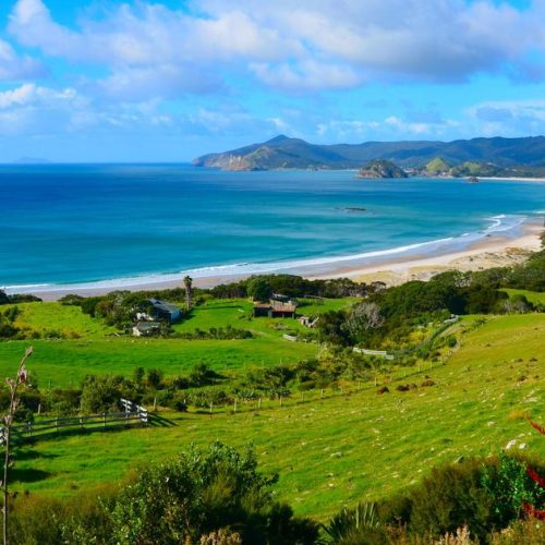 1126 Great Barrier Medlands Beach