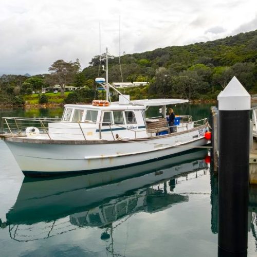 Website image resize - Sundancer at Whangaparapara Wharf, Aotea Great Barrier Island - Photo credit Mark Russell