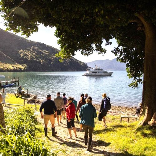 1202 - Marlborough Sounds Heritage Explorer with shore party