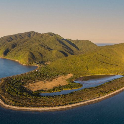 1203 Kapiti Island above