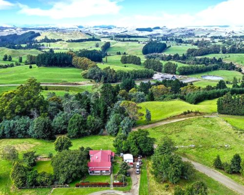 205 - A Picnic Beyond Puketitiri