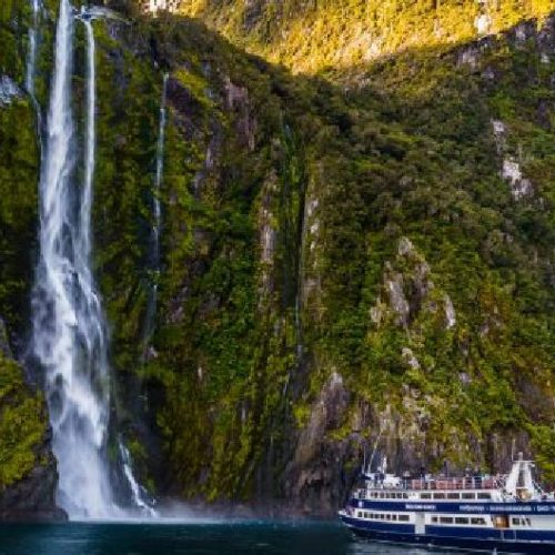 208 South Of The South Doubtful Sound