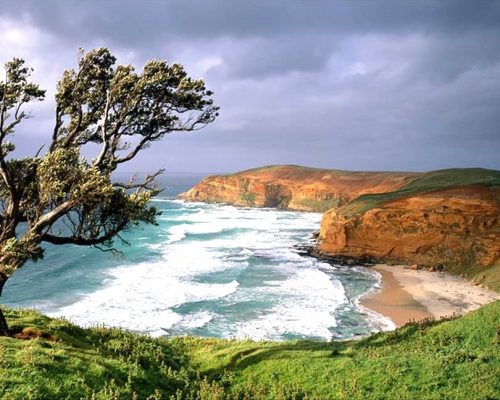 305 Chatham Islands