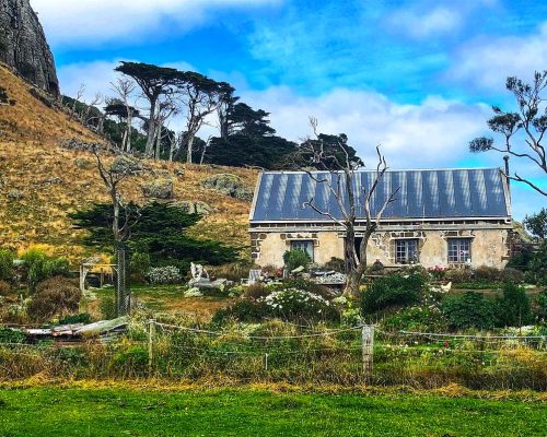305 Chatham Islands stone cottage