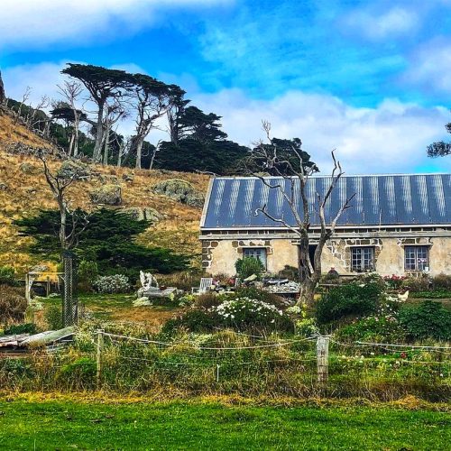 305 Chatham Islands stone cottage