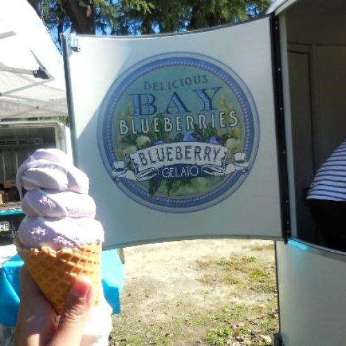 331 Tuesday Temptations Bay Blueberries gelato
