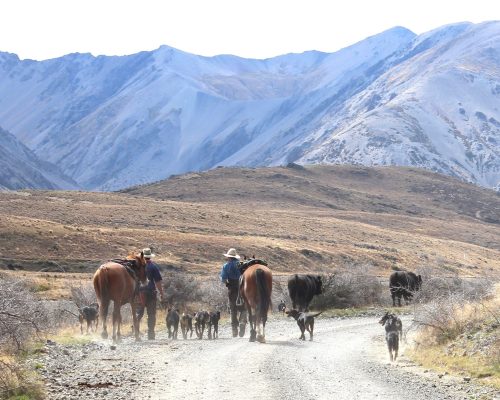 407 Molesworth & Rainbow Stations