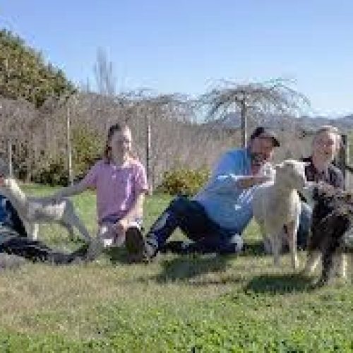 916 Craggy Range Sheep Dairy & Lunch 2