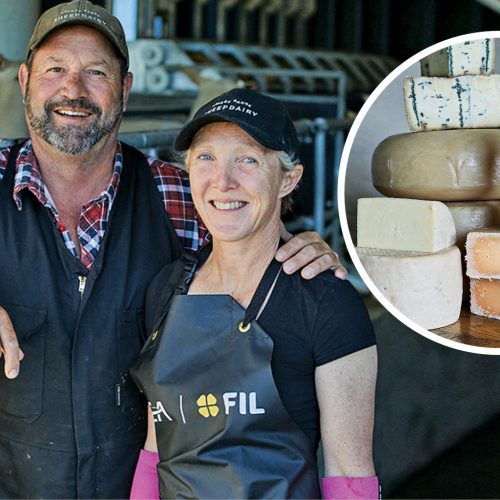 916 Craggy Range Sheep Dairy & Lunch