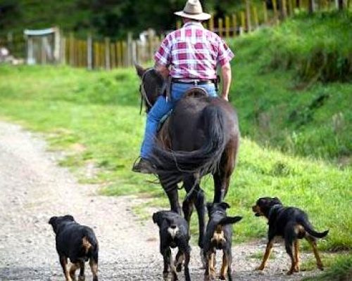 A Visit to Timahanga Station