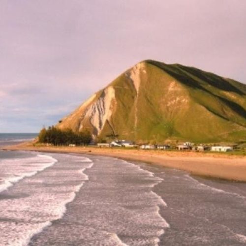 Beach Hop & Lunch - Aramoana Beach