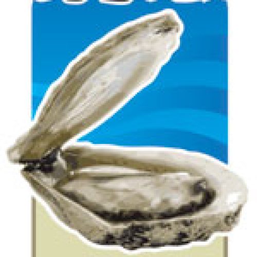 Bluff Oyster & Food Festival logo