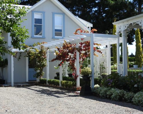 CHB in the Spring time - King's Ridge Garden 2