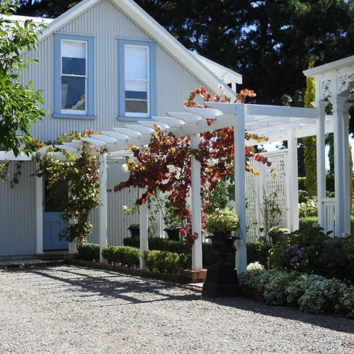 CHB in the Spring time - King's Ridge Garden 2
