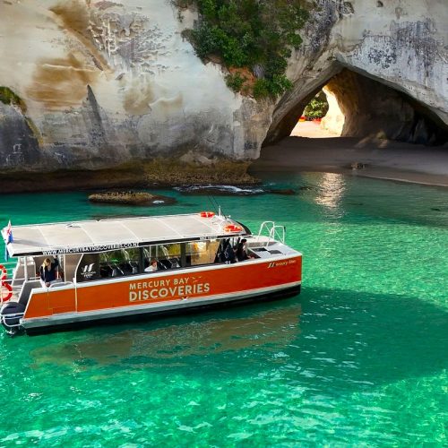 Coromandel Escape Whitianga cruise