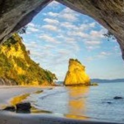 Coromandel Escape