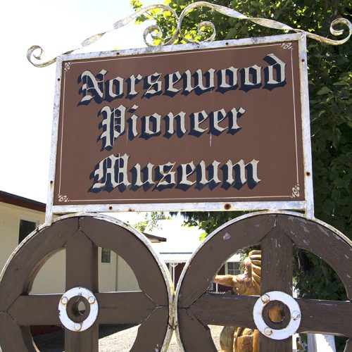 Country Day out in Norswood 2