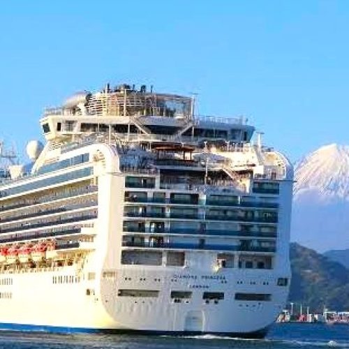 Diamond Princess & Mt Fuji