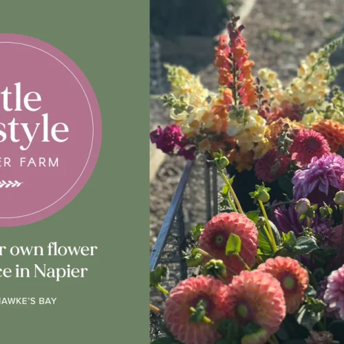 Hb Hidden Gems - Little Lifestyle Flower Farm