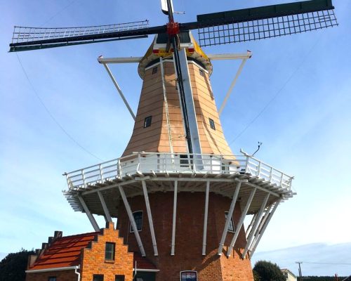 Horowhenua to Rangitikei Windmill