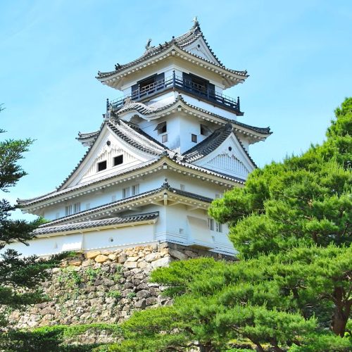 Kochi Castle 2