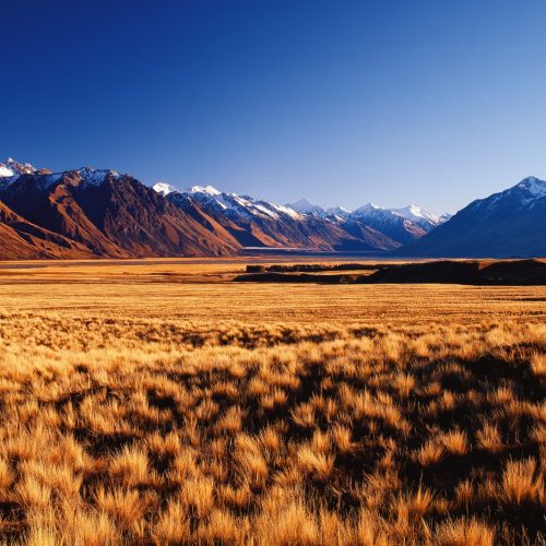 MacKenzie Country & The Maniototo