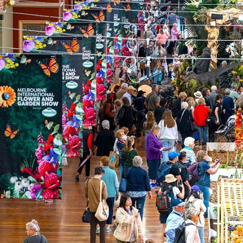 Melbourne International Flower Show 4