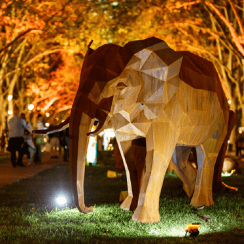 Melbourne International Flower Show Twilight