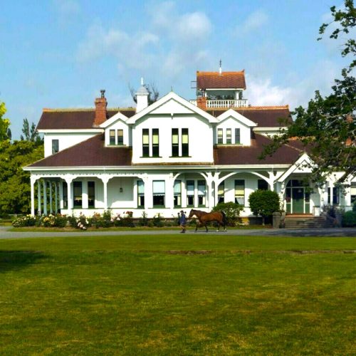 Rangitikei Homesteads Merchiston 2