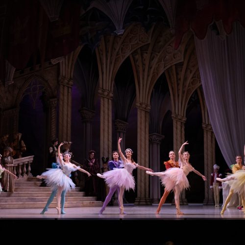Sleeping beauty 3