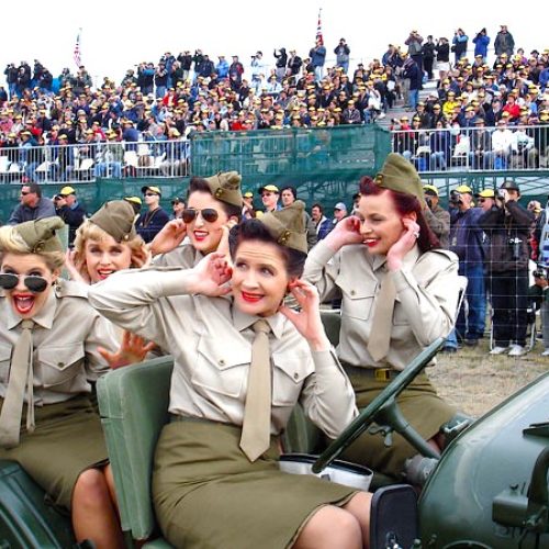 Warbirds Army