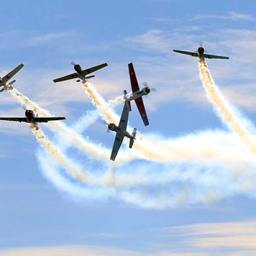 Warbirds Display