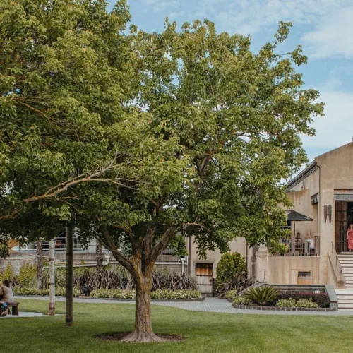 Winery Progressive Lunch - Church Road Winery