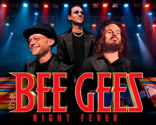 bee gee's night fever